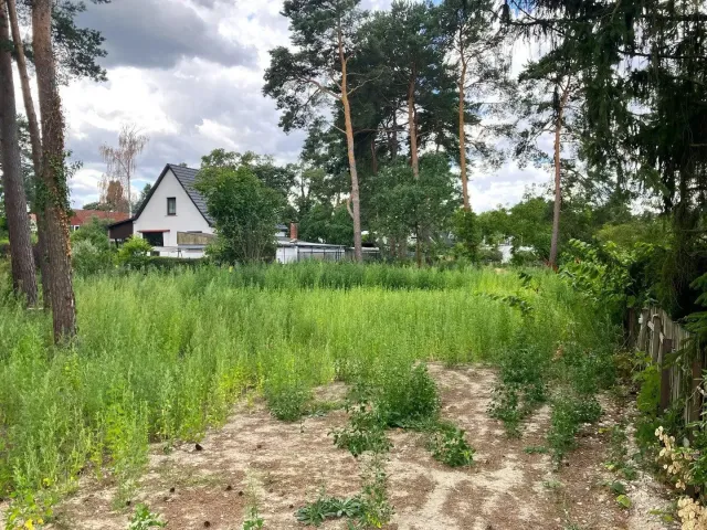 Wohngrundstück in Königs Wusterhausen-Zernsdorf – Bild 2