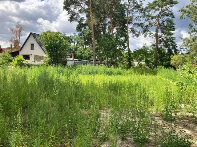 Wohngrundstück in Königs Wusterhausen-Zernsdorf – Bild 4