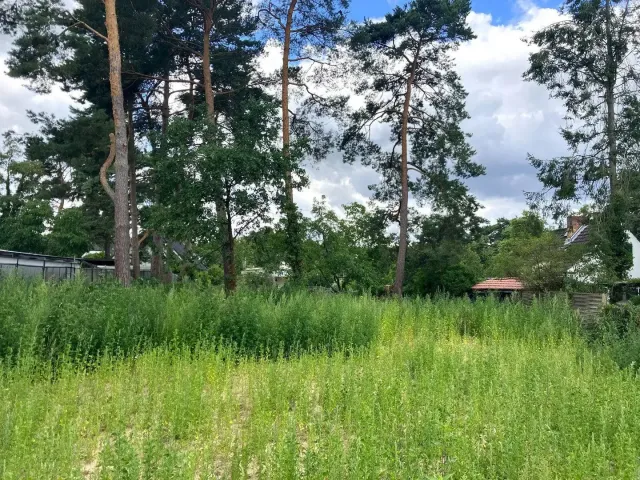 Wohngrundstück in Königs Wusterhausen-Zernsdorf – Bild 3